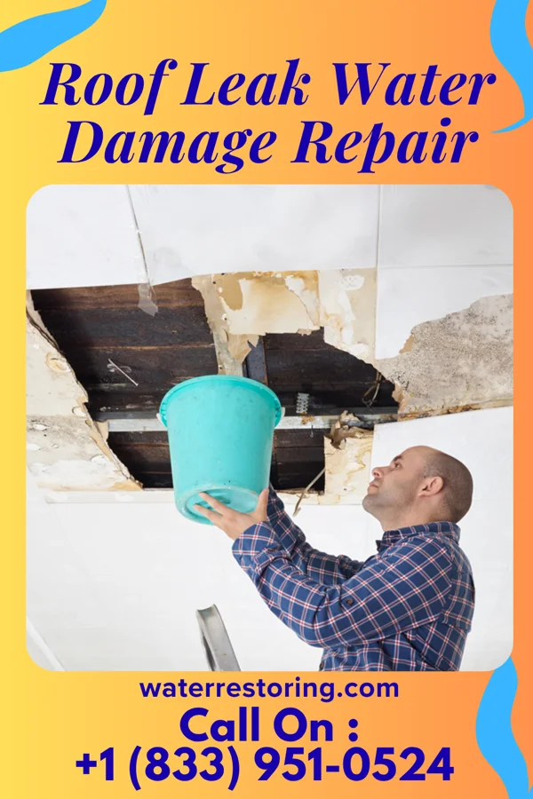 Roof Leak Water Damage Repair in Earl, OK
